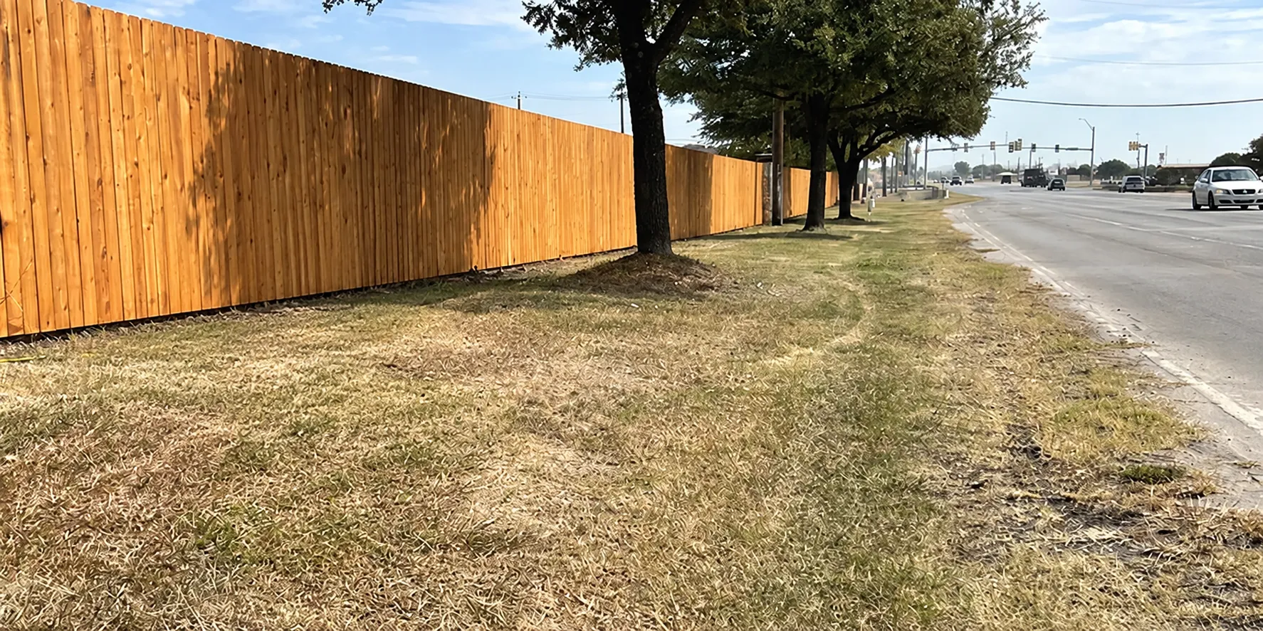 New 6 ft cedar privacy fence running along a tree-lined road at Woodland Oaks in Schertz, Texas
